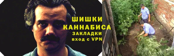 ПСИЛОЦИБИНОВЫЕ ГРИБЫ Кодинск
