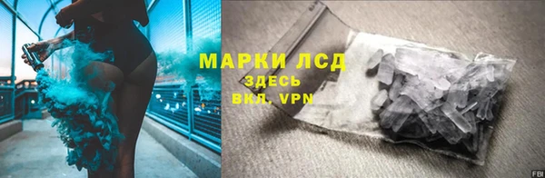 ПСИЛОЦИБИНОВЫЕ ГРИБЫ Кодинск