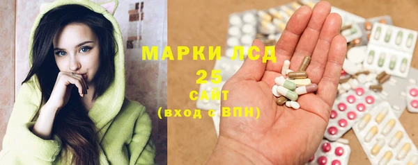 ПСИЛОЦИБИНОВЫЕ ГРИБЫ Кодинск