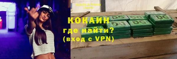 ПСИЛОЦИБИНОВЫЕ ГРИБЫ Кодинск