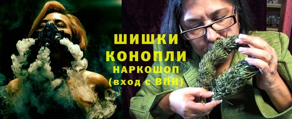 бошки Козельск