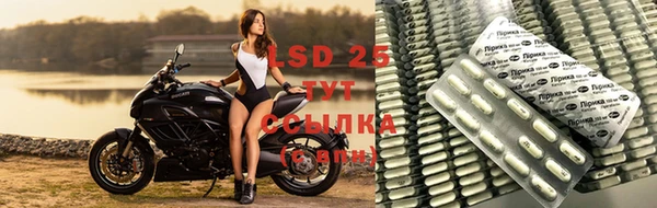 кокс Козловка