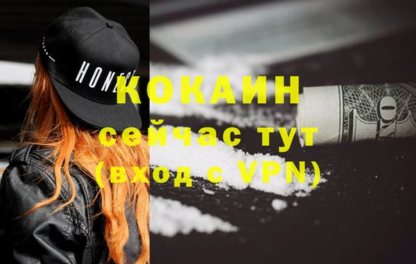 ПСИЛОЦИБИНОВЫЕ ГРИБЫ Кодинск