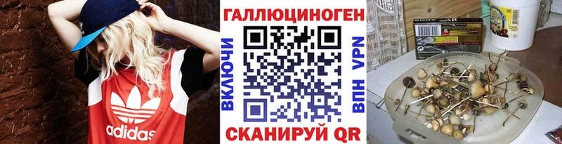 Галлюциногенные грибы MAGIC MUSHROOMS  где можно купить наркотик  Эртиль 